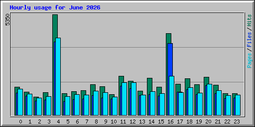 Hourly usage for June 2026